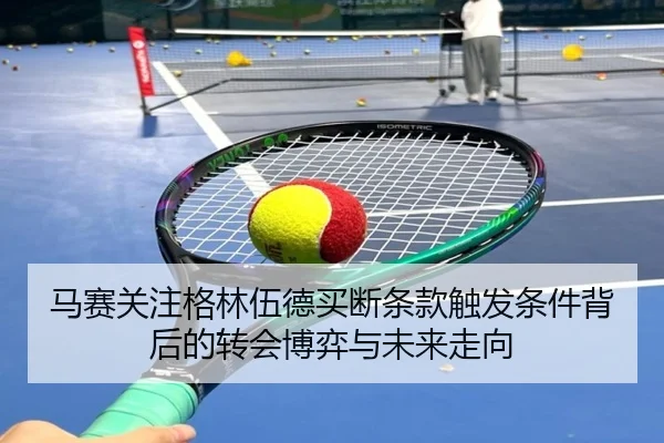 ma-sai-guan-zhu-ge-lin-wu-de-mai-duan-tiao-kuan-chu-fa-tiao-jian-bei-hou-de-zhuan-hui-bo-yi-yu-wei-lai-zou-xiang-2-713.jpg